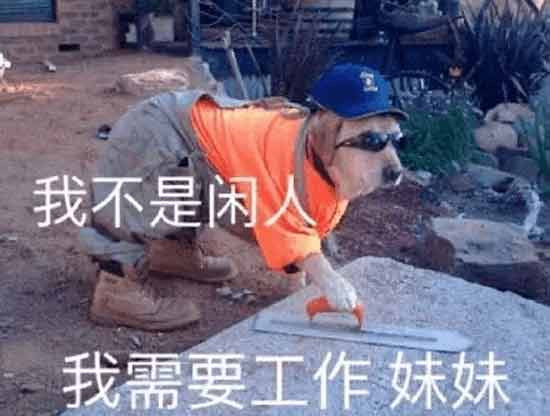 于是有人说,毛主席时代是工人的天堂。工人,在那个年代又叫做国家的主人,那个时候叫工人阶级,那个时候我们人民的领袖毛主席说:工人阶级必须领导一切。用现在的话说,就是我们打工人要领导一切——您相信我们曾经有过这样一个时代吗?