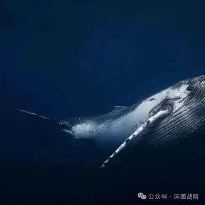 历史从不眷顾迟疑妥协者，国家主权从来靠实力捍卫。俄乌战场血的教训深刻昭示：核心利益无折中，大国博弈无温情，国家安全无退让。