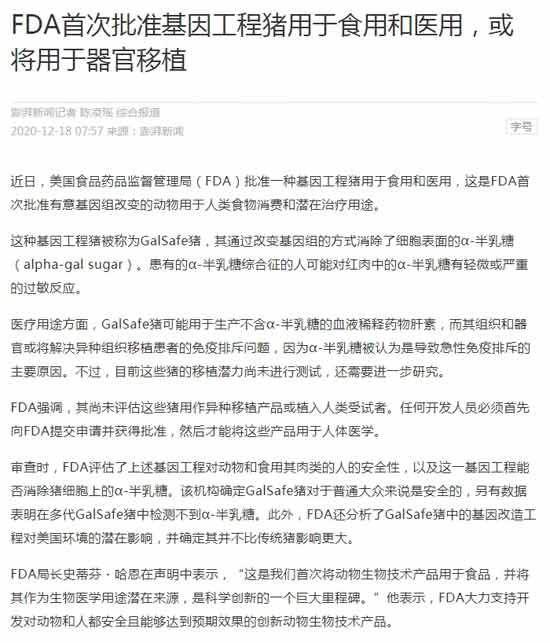 美国批准转基因猪用于食用医用，这意味着什么？细思极恐！