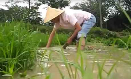 读者来信 | 洪灾来袭,土壤为何越来越留不住雨水?
