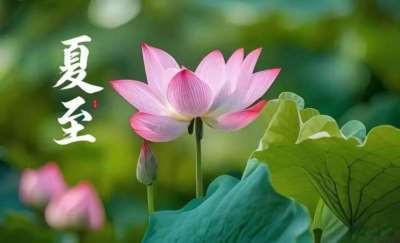闫宏伟：节气诗词之夏至（2026.6.21）