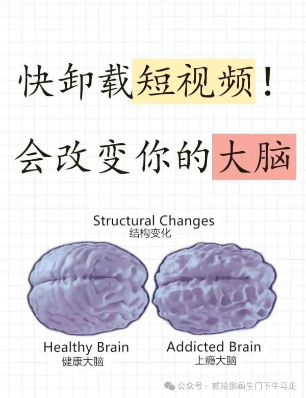 当发现自己已经无法读完一篇长文，当发现自己刷了两个小时短视频却什么也没记住，当发现自己越来越不耐烦于复杂论证，那就是需要警惕的信号。