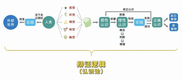 不管是形式逻辑,还是辩证逻辑,它们其实都在帮我们做一件事,就是更好地认识这个世界。
