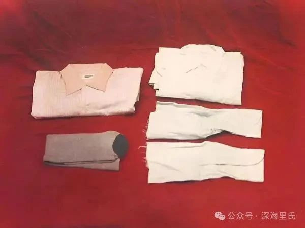 “他是我的骄傲。” || 战火中的红孩子——毛岸英