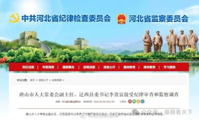 李富贵被查,并不意外的意外结果!