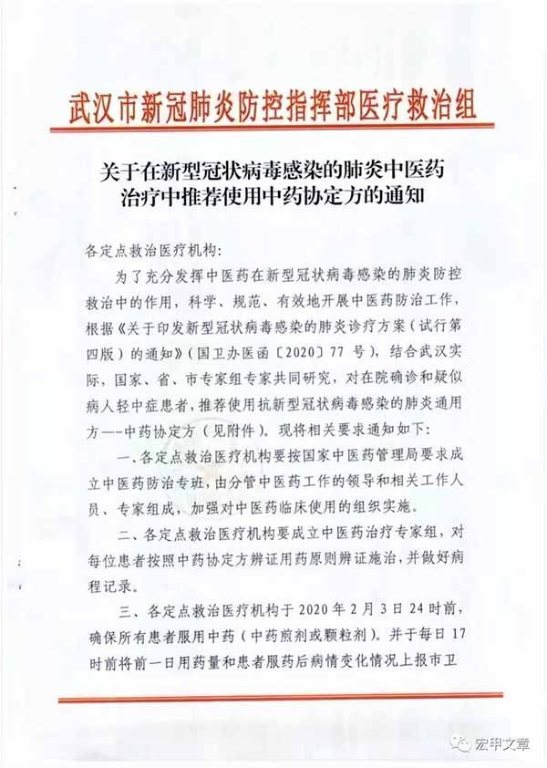 王宏甲:河南、湖北两省要求全面使用中医中药