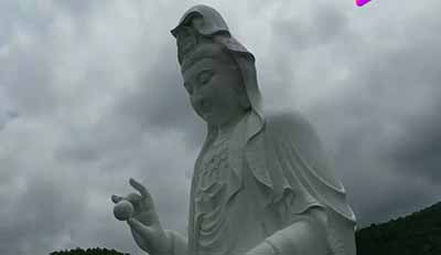 不管他什么意思,老先生是不能批评的,无论这里变成什么样,这位老先生也是没有责任的,“我就是个商人而已!”商人有祖国,买办没有。