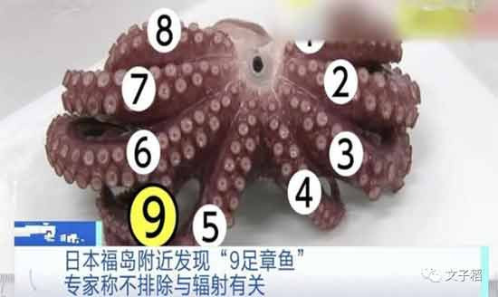 我们要多在国际场合反复讲日本往大海倾倒核废水的危害性，同时，还要联合其他国家组成联盟向日本索赔。