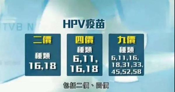 一年后,以色列、意大利免疫学专家研究确凿证实:HPV疫苗添加的辅佐剂诱导的自身免疫/炎症综合征致原发性卵巢功能衰竭。