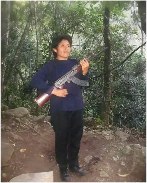 两份来自秘鲁共产党的文献，均属于研究《维兹卡坦：革命艰难却光荣的道路》