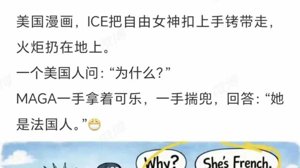 是的。美国社会的种种病灶——医疗债务、住房危机、中产塌陷、底层固化——已经存在了几十年，而且在加剧。但为什么没有爆发大规模的、系统性的"反对"运动？为什么没有出现根本性的制度变革？