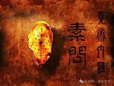 中医告诉我们：你不需要被管理，你本就可以自愈。向内修身，顺道养身。你将活成一种最省钱、最通透、最高级、也最长久的人生状态，这是中医赋予现代人最大的自由。