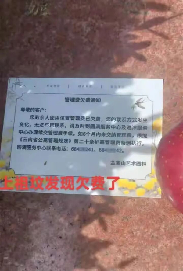 墓碑被贴上欠费单!活着被电话催收,死了被墓园催缴,"连最后的安宁都没有"