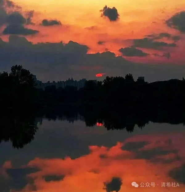 这认罪签得比赶集还急,到底怕个啥?
