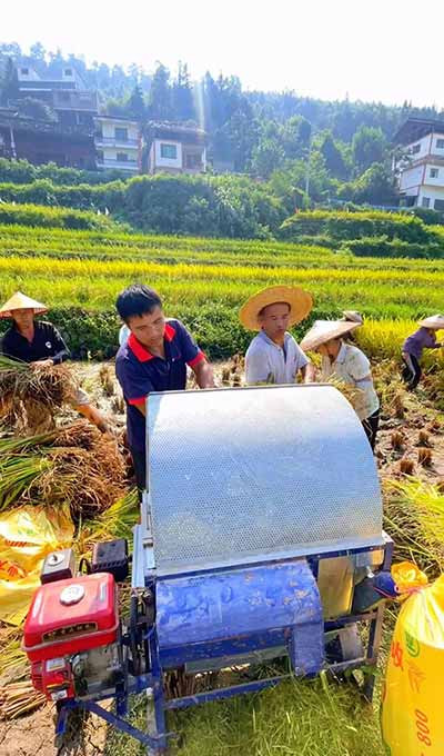 全球种业巨头的逻辑是标准化、规模化、可复制。他们要的是在任何土地上都能生长的品种，要的是可以装在集装箱里运往世界各地的种子。但农业从来不是工业。农业是土地、气候、文化、历史的综合体。把农业装入资本的标准模具，土地将永久失去孕育惊喜的能力。