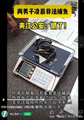 当法条越来越多、法网越来越密，当程序越来越繁琐、律师越来越忙，结果却越来越让人看不懂，法律就离百姓心中的天理人情越来越远了。  文 | 付能