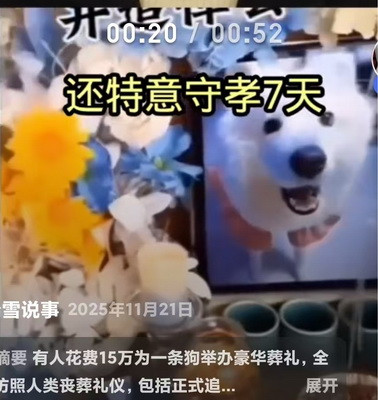 在鲜明的对比下，老百姓活得不如富豪的一条狗!这本身就是极大的悲剧，是对执政者极大的讽刺，应该引起党政部门的重视予以纠正