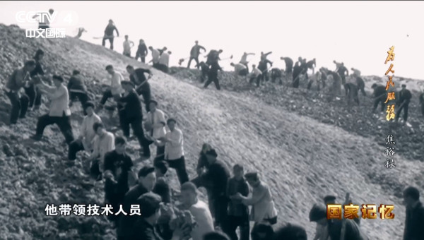 迎难而上战“三害”,挺拔的泡桐是他留给兰考最珍贵的政绩