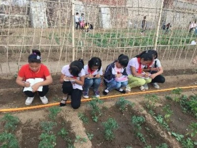 野开课堂:中国贫困县建起世界级儿童教育体系