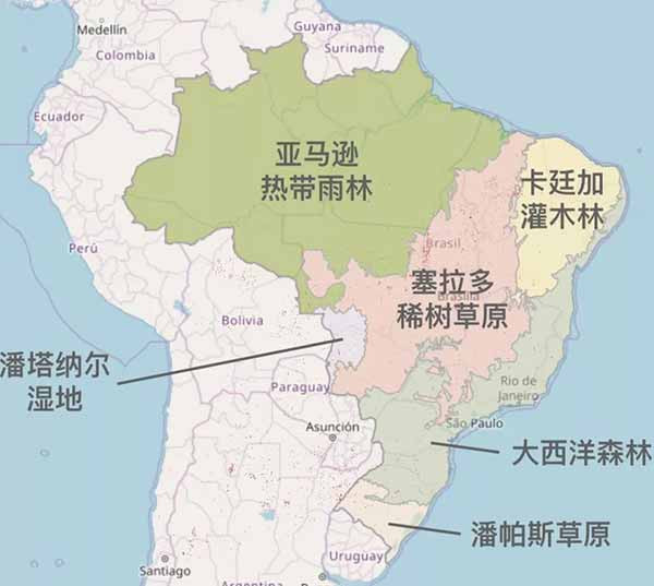 亚马逊之火，因何燃起，谁在加油？