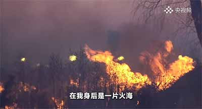 各地执行秸秆禁烧令的松紧程度不一。我们此行见到的农民，大部分人在经历了还田或离田带来的麻烦后，又烧回了秸秆;少部分人从来都是一烧了之，即便在禁烧最严格的时候，也是偷摸着烧。