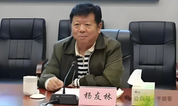 22亿巨蠹厅官杨有林往事:裸官,17年前遭央媒曝光,举报人被抓