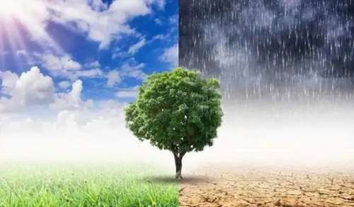 高举气候与环保大旗，不能任由美西方国家放空炮
