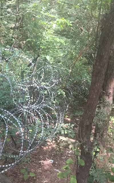 围山多年的泰山刀片刺网，是怎么来的？