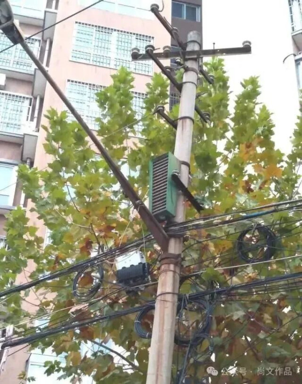 一九九四年的蔡家坡
