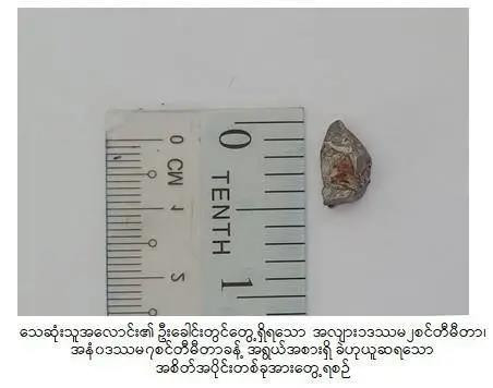 西方在选取这个祭品之时，对其华裔身份的利用也一定有了考虑。
