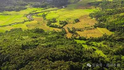历史与现实已经证明:中国农业现代化,没有外来模板可以照搬,没有捷径可以绕行。