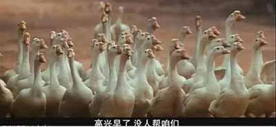 把张麻子的旗子竖起来,把“公平、公平、公平”放在嘴上,鹅城才会真正地进步。