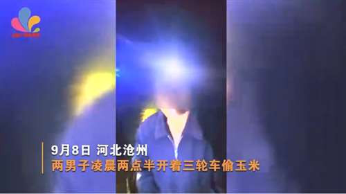 我总觉得，现在好人反而成了“弱势群体”，恶人反而能够嚣张跋扈。如果法律是一个人，我想跟法律聊聊天，请问这位整个社会都敬畏的大神：我是小杨，我该如何保护我的药材？我是小王，我该如何保护我的玉米？我是小刘，我该如何保护我的几颗白菜？这也不行，那也不行，有什么好办法可以使我们的权益得到保护？刘宗泽死了，我的“六哥”死了，他能不能以他的死，换来整个社会对于“好人弱势群体”的关注，换取法律对于“好人弱势群体