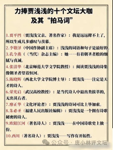 这对父女,正在成为陕西文学的负资产。其他的父女母女们,老百姓也都在盯着