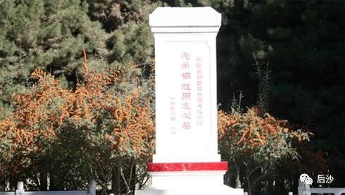 拜登宣布撤军,杀完人一走了之!