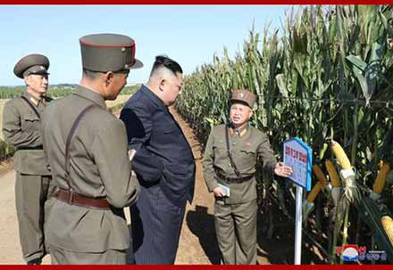 金正恩视察部队农场：解决吃饭问题要有决定性转变
