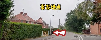 欧美能治小仙女老仙女:资本主义不惯巨婴